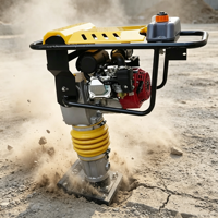 Prix usine 80 kg 6,5 CV Compacteur vibrant à essence pour espaces confinés avec CE EPA