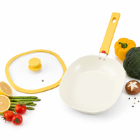 Poêles antiadhésives, ustensiles de cuisine, poêle à frire pour cuisinière à induction, cuisinière électrique, maison, appartement, camping en plein air