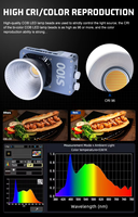 ZSYB S100 Projecteur LED COB portable en alliage d'aluminium, haute CRI 100W, température de couleur réglable 2700K-6500K, dimmable
