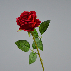 ดอกกุหลาบผ้าไหมกำมะหยี่ ก้านยาว สัมผัสเหมือนจริง สีขาว สำหรับตกแต่งงานแต่งงาน ลดราคาพิเศษ - Product Image 2