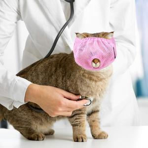 Pet Eye Mask Cat Muzzle Breathable Mesh Fabric For Grooming Bathing Pet Care SL Size - Product Image 5