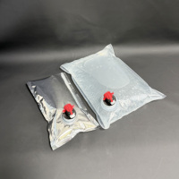 Sac à vin en plastique transparent en aluminium avec valve Vitop Fexitap, sac BIB en aluminium avec valve, 1L 2L 3L 4L 5L