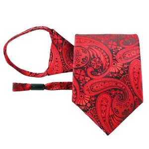 OEM Customise100% Silk Neck Ties for Men