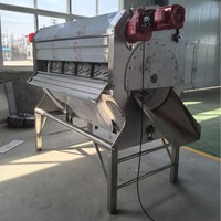 Commerciële mangoschilmachine  Hoge capaciteit ananasschilmachine  Pneumatische continue drakenvruchtenschilmachine