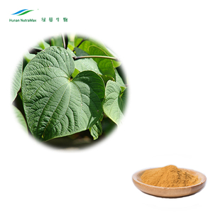 Fabrika kaynağı Vanuatu Kava özü 50% Kava ekstresi tozu - Product Image 3