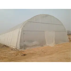 Agricoltura agricoltura serre complete a campata singola coltiva la tenda per la fragola