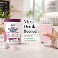 Poudre de récupération performante 3-en-1 |   Créatine 5g, Collagène en peptides 10g, Électrolytes |   Mélange Premium Saveur Baies |   30 portions