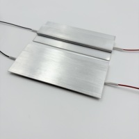 Plaque chauffante en céramique PTC 220V, élément chauffant à thermistance en aluminium 118x55x5.3mm pour équipement industriel