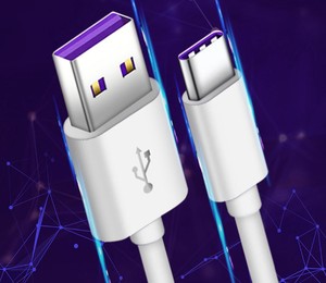 3เมตร10ฟุต10ft <span class=keywords><strong>3A</strong></span> <span class=keywords><strong>ชาร์จ</strong></span>อย่างรวดเร็ว USB ข้อมูลประเภท <span class=keywords><strong>C</strong></span> <span class=keywords><strong>สาย</strong></span><span class=keywords><strong>ชาร์จ</strong></span>อย่างรวดเร็วสายชาร์จ - Product Image 3