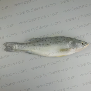 Decoración de Pescado Artificial Realista: Lubina Chilena Falsa para Acento de Cocina, Bar en Casa, Mesa de Buffet, Exhibición de Mariscos - Product Image 4