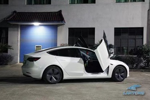Kit Speciale per Porte Verticali Stile Lambo per Tesla Model 3 - Product Image 6
