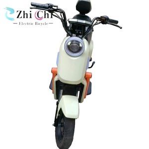 Bicicleta Eléctrica Urbana de Dos Plazas, 500W, 48V, con Pedal, para Ciudad, con Velocidad Máxima, Categoría de Motocicletas Eléctricas - Product Image 4