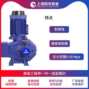ปั๊มสูบจ่ายสารเคมีแบบลูกสูบ Shanghai Sunshine Pump รุ่น DZ-ZR ทำจากสแตนเลส 316  กำลังไฟฟ้า 6.5 ลิตร/นาที ระยะส่ง 30 เมตร - Product Image 5