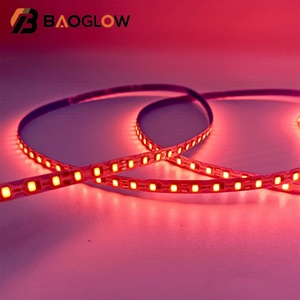 <b>Remote</b> <b>Control</b> 14 Colors LED Flexible Smart Strip Lights Landscape Decoration Outdoor 12V RGB LED Light for Living Room Ceiling - Product Image 4