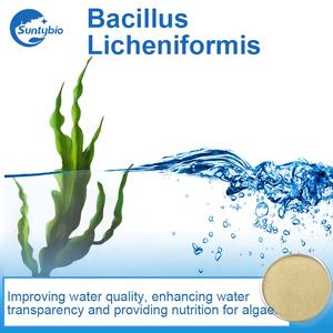 2025 Aditivo Alimentar Probióticos <span class=keywords><strong>Bacillus</strong></span> bactérias compostas para alimentação animal Aditivo Aquicultura Tratamento De Água - Product Image 4