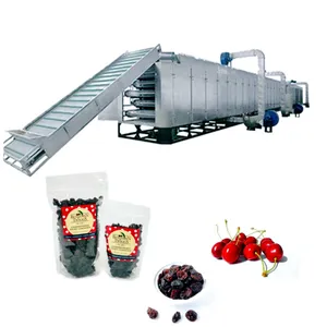 Automático Gás Multi-Layer Conveyor Mesh Belt Dryer Túnel Food Drying Forno Máquina Para Frutas