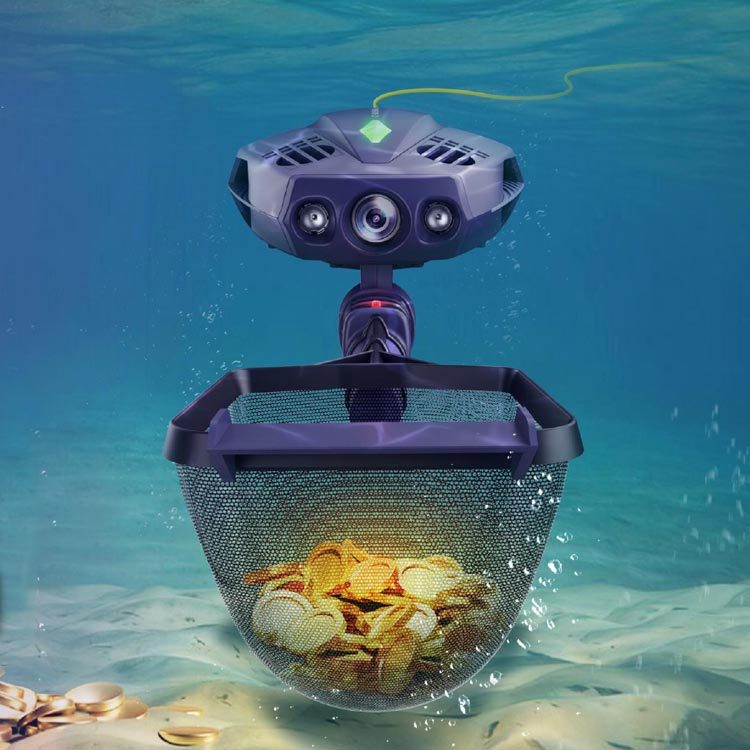 CHASING Dory Explore Underwater Exploration Environmental
