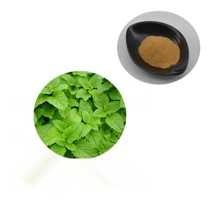 Penjualan Laris Tiongkok Ekstrak Lemon Balm/<span class=keywords><strong>Melissa</strong></span> <span class=keywords><strong>Officinalis</strong></span> - Product Image 4