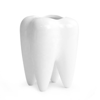 Porte-crayon en forme de dent créative porte-brosse à dents Pot bonsaï en céramique Pot de plante succulente cadeau de dentiste