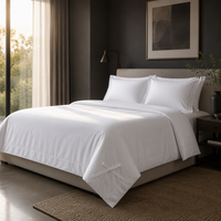 Fournitures hôtelières : Ensemble de literie jetable confortable, 100% Coton, 300-330 fils, Blanc Spa, Vente en gros à prix bas