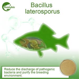 Fertilizante biológico de alta calidad para aditivos alimentarios, <span class=keywords><strong>Bacillus</strong></span> subtilis. - Product Image 3