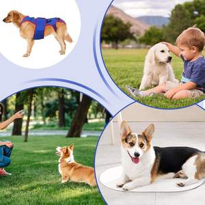 Dog Back Brace Hip Joint Dog Knee Brace for Torn Acl Hind Legs Injuiry Hip Support Recovery and Rehabilitation Dog Back Brace - Product Image 5