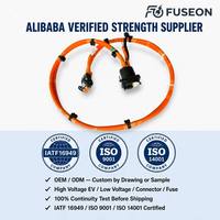 Unit Distribusi Daya Tegangan Tinggi EV Kustom, Kabel Harness Mobil 600V XLPE IP67, Produsen OEM