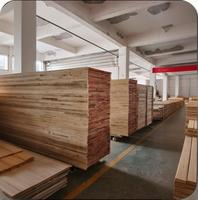 Portes intérieures modernes en bois massif de luxe à 5 panneaux de 9 pieds pour chambre à coucher avec cadre