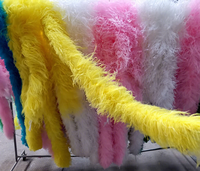 5ply mode coloré moelleux plume Boa blanc rose plumes d'autruche Boa pour bricolage artisanat Costume danse fête Halloween