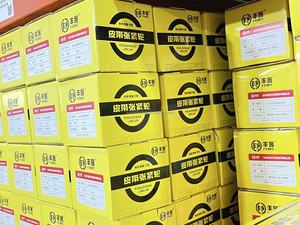 612630060836 Weichai Motorzubehör Verlängerungs-Umlenkrolle 612630060836-3017 für LKW - Product Image 5