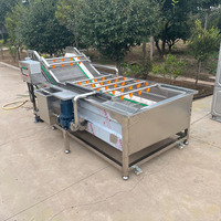 Dieptereinigende luchtbelwasmachine voor fruit en groenten, efficiënt reinigingssysteem voor wortelgroenten en fruit, motor en motorblok.