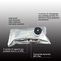 Sacs à café personnalisables en boîte (BIB) avec valve, emballage liquide de qualité alimentaire pour vodka, bière, vin, jus, OEM et logo personnalisé