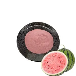 100% Pure Spray Dried Watermelon Fruit Juice Powder