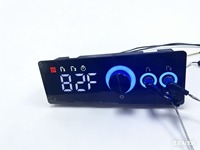 Contrôleur de température numérique à double canal - Thermostat pour cuisinière électrique avec affichage LED et boutons rotatifs - 12V/24V/220V