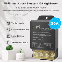 Interrupteur relais intelligent WiFi haute puissance WeLink 30A - Contrôle à distance sans fil via APP/Alexa/Google Home |   Minuterie et automatisation DIY