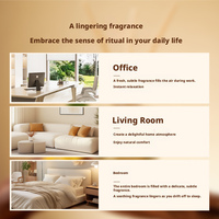 Diffuseur de parfum en verre sans flamme, aromathérapie, désodorisant d'ambiance, parfum d'intérieur, décoration de pièce, vente en gros