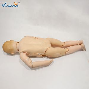 แบบจำลองการใส่สายสวนปัสสาวะเด็ก ทำจากพีวีซี ทนทาน ขนาดเท่าคนจริง สำหรับการศึกษาทางการแพทย์และการฝึกอบรมฉุกเฉิน - Product Image 3