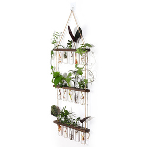 Wall Mounted Wooden Plant Rack With Glass Hydroponic Test Tubes For Indoor Greenery Decor - Product Image 1