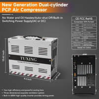 TUXING nouveau Style haute qualité 12V 4500psi 300bar 30mpa convertisseur intégré 220V arrêt automatique natation respiration PCP compresseur d'air