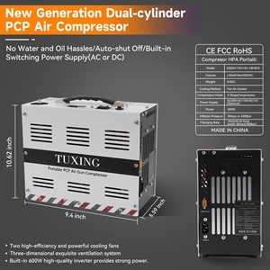 TUXING nouveau Style haute qualité 12V 4500psi 300bar 30mpa convertisseur intégré 220V arrêt automatique natation respiration PCP compresseur d'air - Product Image 3