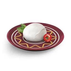 Excellent Quality Certificated Pdo Private Label Mozzarella Fresh Cheese 250Gr Italian Cheese Dairy