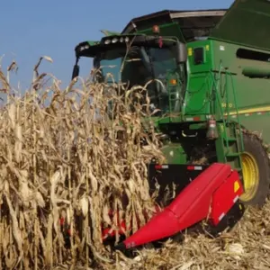 Cabeçote de milho, plataforma de corte, harvester de milho montado