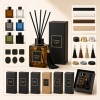 Ensemble diffuseur de parfum personnalisé avec huile et bâtonnets en verre sans plomb, capacité de 100 ml pour la fragrance d'intérieur