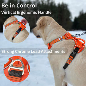 カスタムナイロン製ファッションスポーツパッド入り反射犬用ハーネスとリードセット（大型犬用クイックリリース付き） - Product Image 4