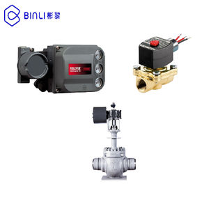 Posicionador chino DVC6200 con comunicación HART 7, reducción de presión máxima de salida de 145 Psig y solenoide ASCO - Product Image 3