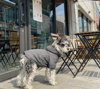Imperméable pour chien, veste imperméable à capuche coupe-vent avec cordons de serrage pour chiens de petite et moyenne taille, gris