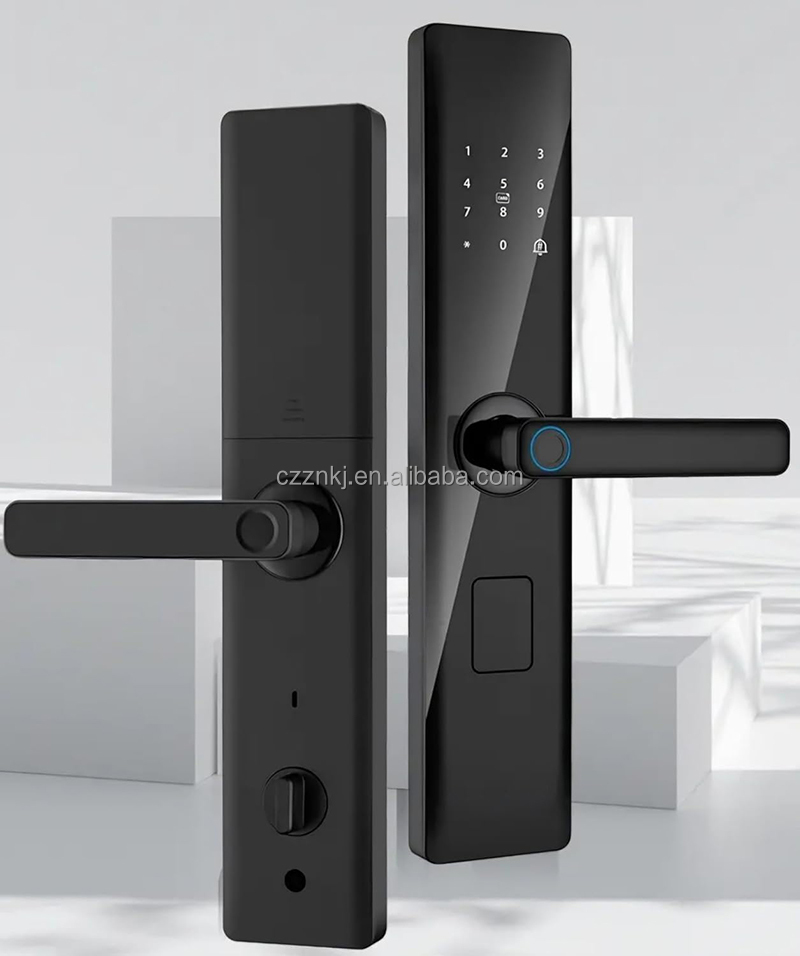 Luxury Aluminum Alloy Remote Control  App Intelligent Digital Keypad Code Smart Fingerprint Lock · image 3