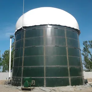 Torche à biogaz réservoir de déshydratation réservoir de désulfuration et autres équipements nécessaires