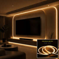 Bande LED semi-circulaire en silicone 12x12mm IP66 24V 9W 2700K IRC 90, extrusion creuse pour bordure de jardin et aménagement extérieur
