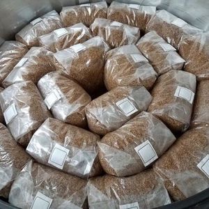 Logo personnalisé Compost en plastique à grains épais stérilisé Huître Champignon Spawn Sac de culture Substrat Culture Filtre Sacs de culture - Product Image 3